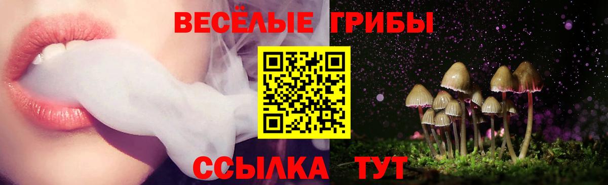 магазин продажи   Вход с VPN  Нальчик  Псилоцибиновые грибы Magic Shrooms 